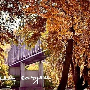 Meet your Posher, Leea